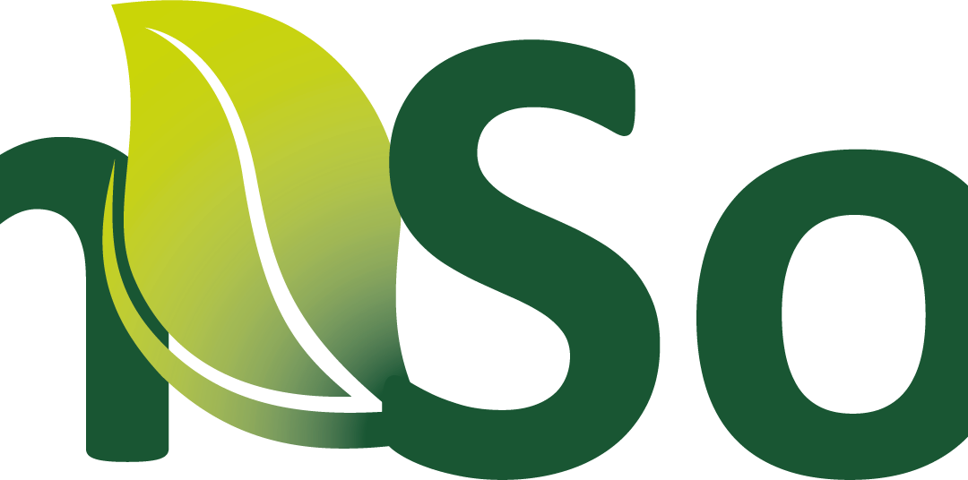 Plan social ENCE 2025 – Inicio de obras